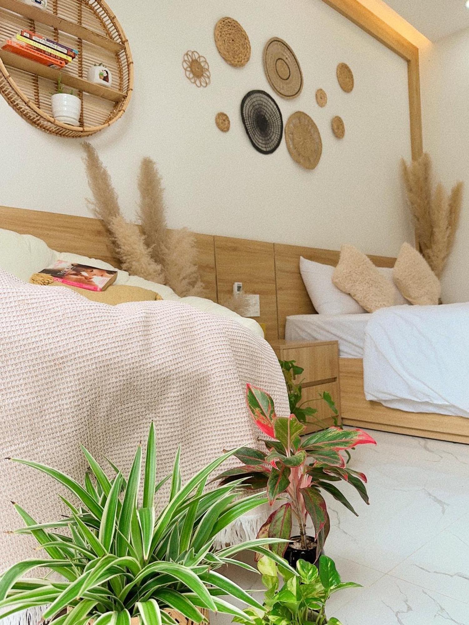Mira De Sol Homestay Da Nang Eksteriør billede